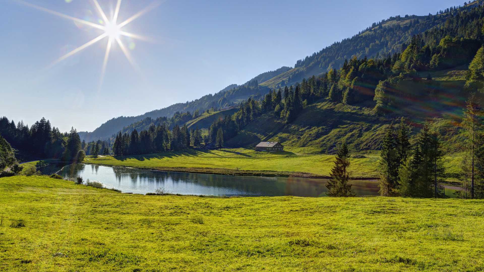 De Lecknersee weerspiegelt zonlicht met weelderige groene weiden en beboste heuvels in Vorarlberg, Oostenrijk.