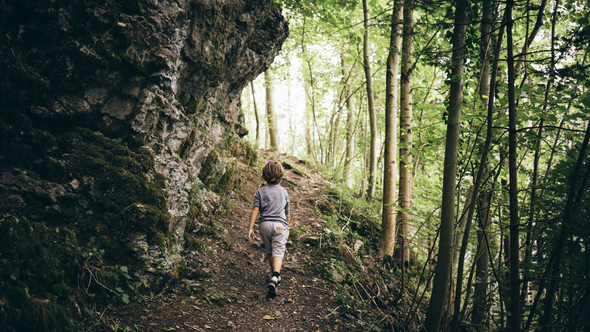 Een jonge jongen wandelt over een zandpad door een dicht bos in Bludenz, Vorarlberg, Oostenrijk.
