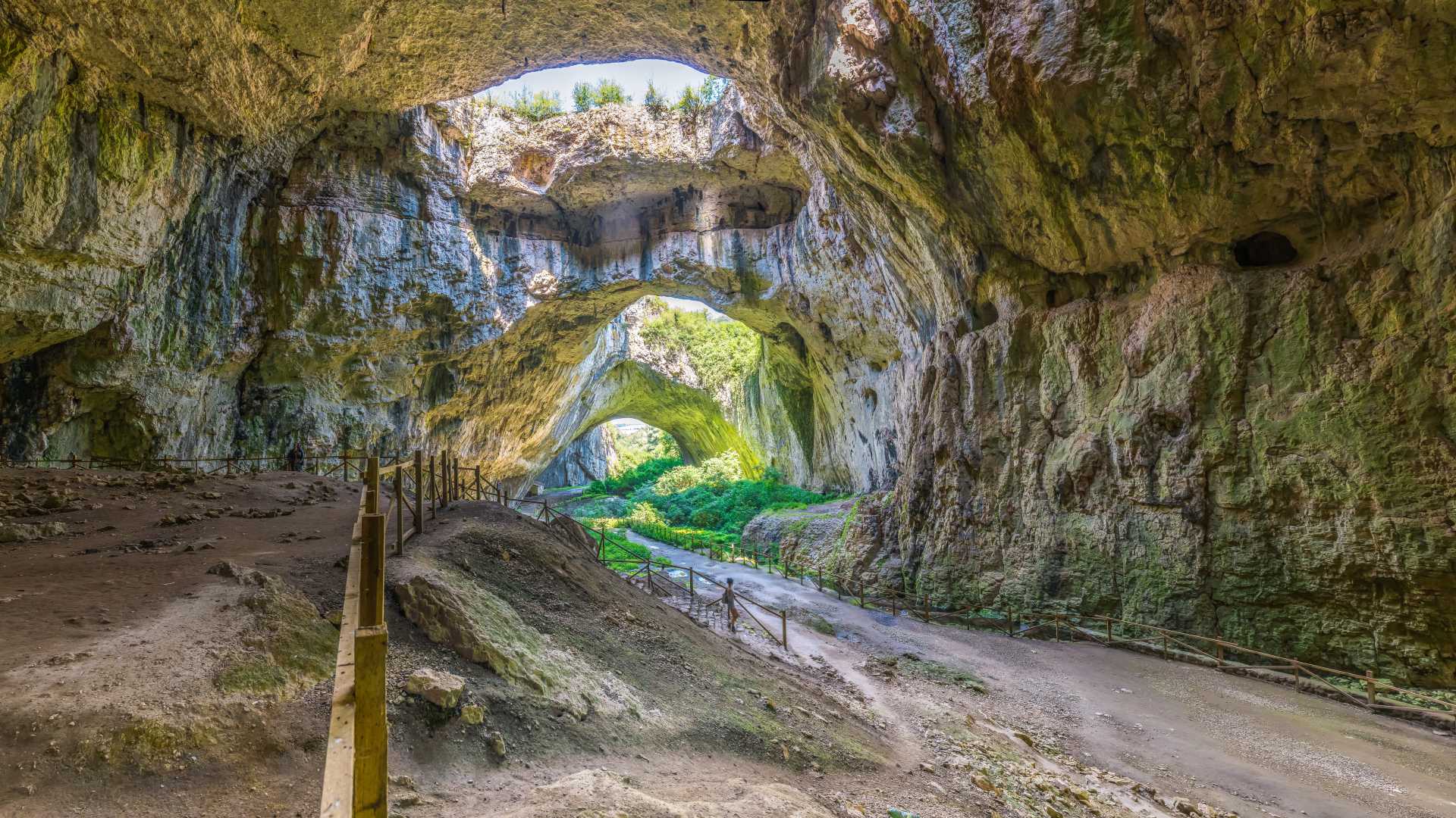 Sunlight illuminates the interior of Devetashka Cave, highlighting its immense size and lush vegetation.