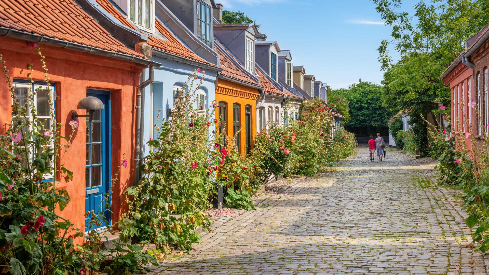 Farbenfrohe alte Häuser mit blumengeschmückten Gärten in einer Kopfsteinpflasterstraße in Aarhus, Dänemark.