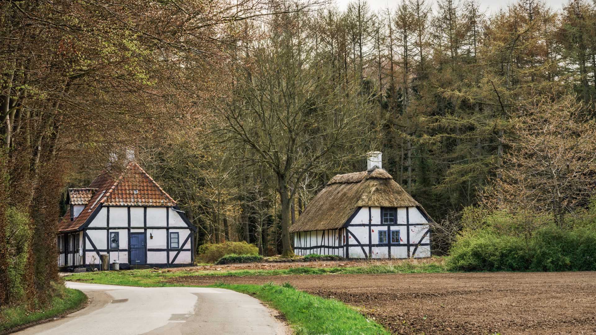 Charmante Fachwerkhäuser mit Reetdächern in der ruhigen Landschaft von Langeland, Dänemark.