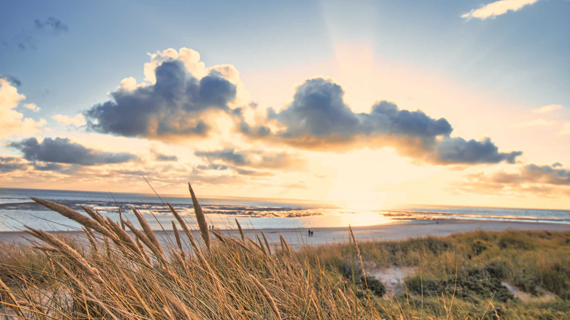 Sunset over Blåvand Beach, Denmark, featuring golden dune grass and dramatic clouds along the shoreline.
