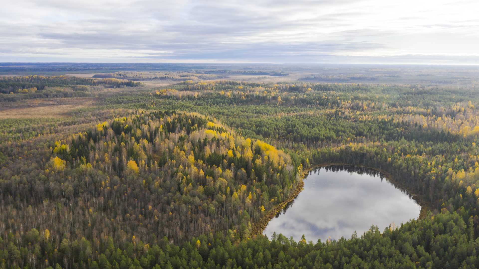 An aerial view of a serene lake mirroring the sky, surrounded by an autumn-colored forest in Northern Estonia.