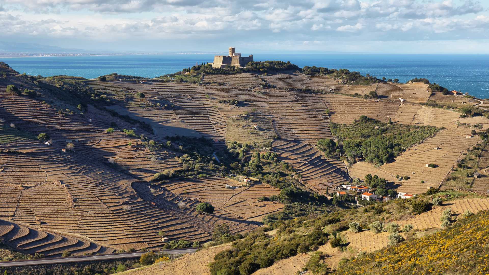 Fort Saint Elme au sommet d'une colline en terrasses, surplombant la mer Méditerranée à Roussillon, France.
