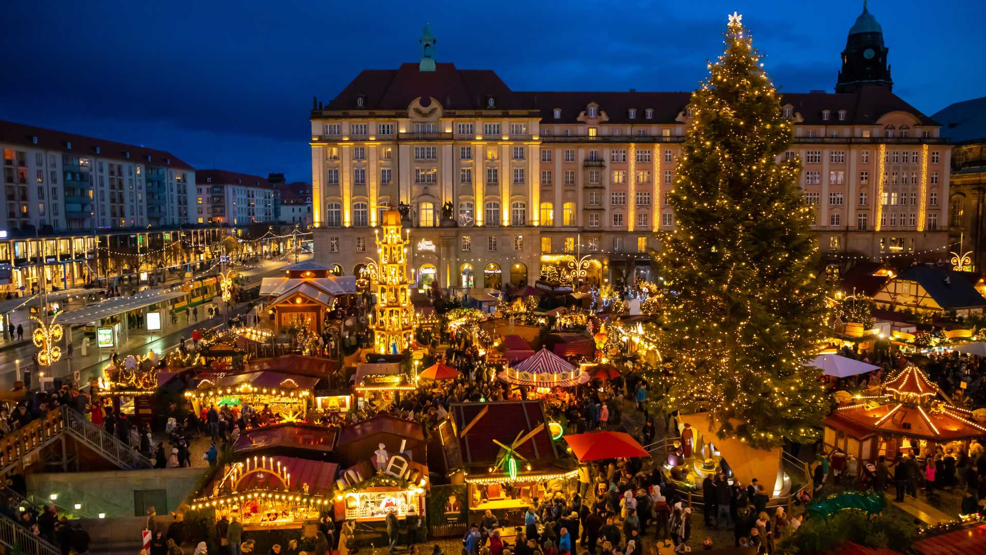 Festive lights illuminate Dresden's Striezelmarkt, with a towering Christmas tree and bustling holiday stalls.