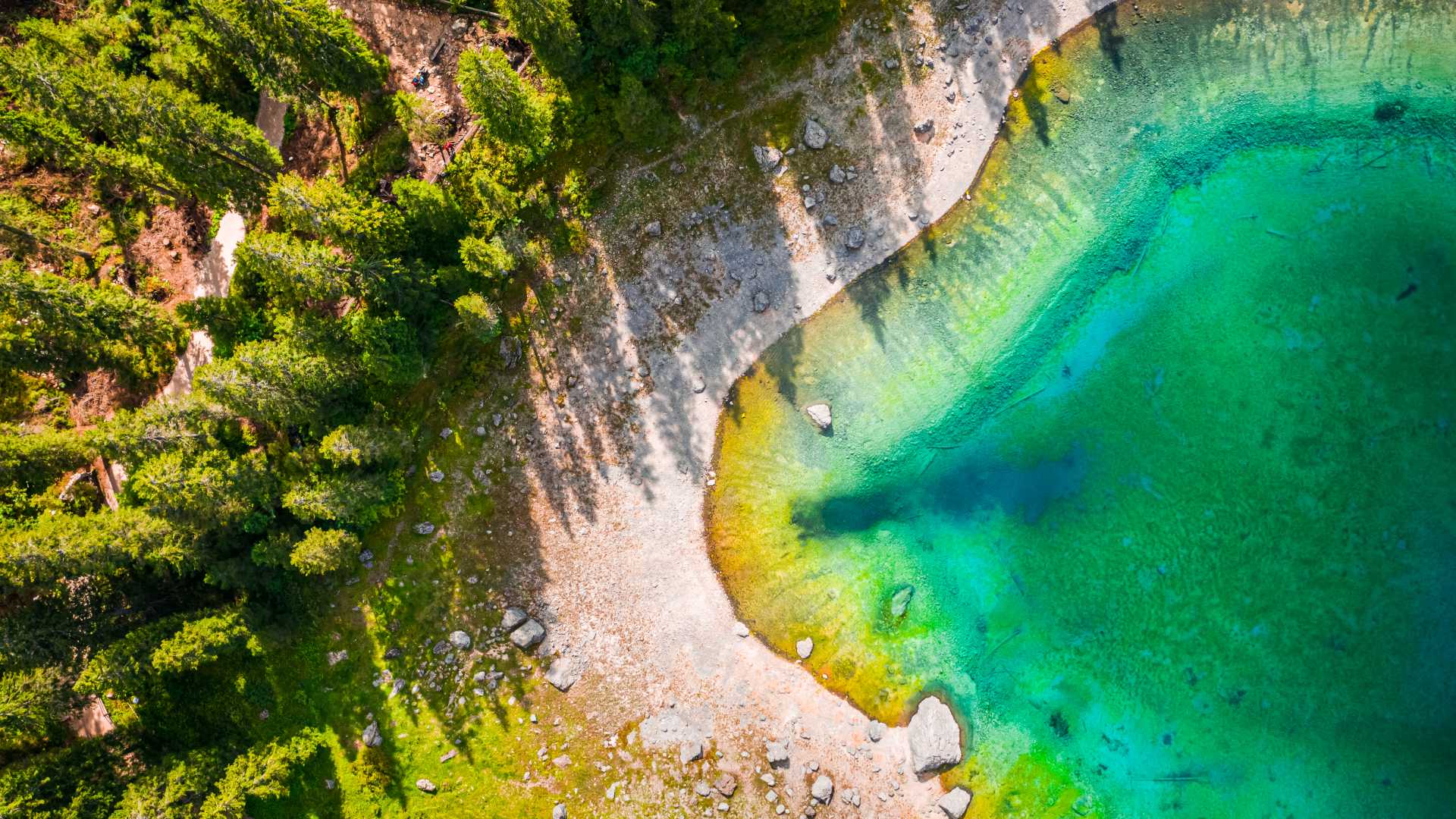 Aerial view of the crystalline turquoise waters of Carezza Lake, framed by a lush green forest in the Dolomites, Italy.