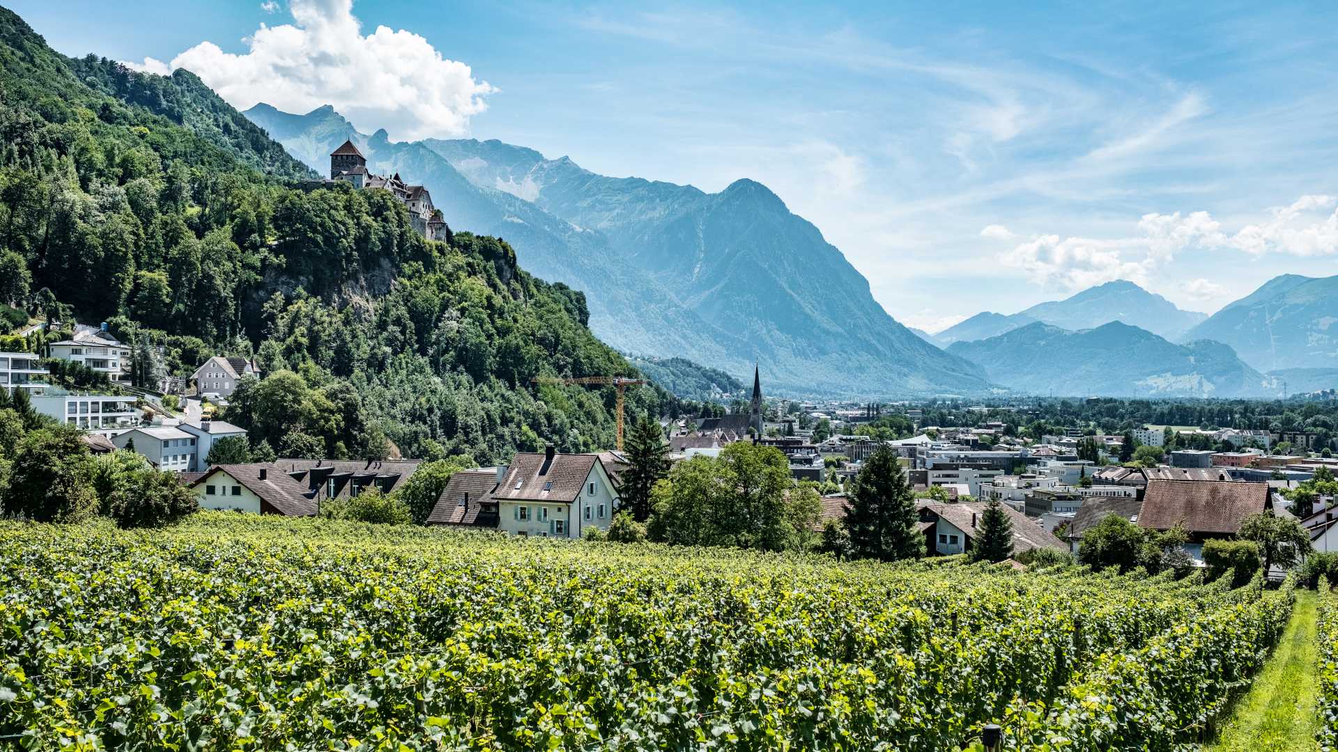 Vista panoramica di Vaduz con castello, vigneti e le Alpi.