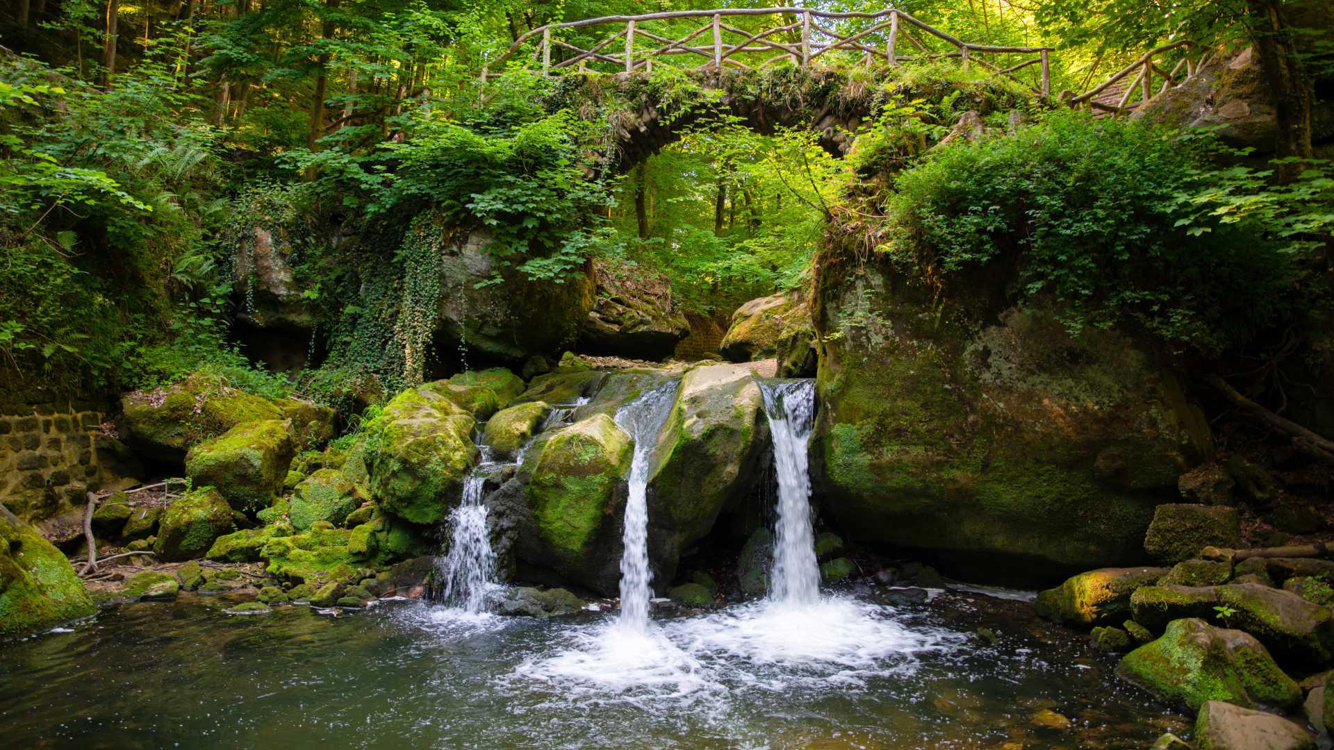 Weelderig bos met een rustieke brug over de Schiessentümpel-waterval, omgeven door met mos bedekte rotsen in Luxemburg.