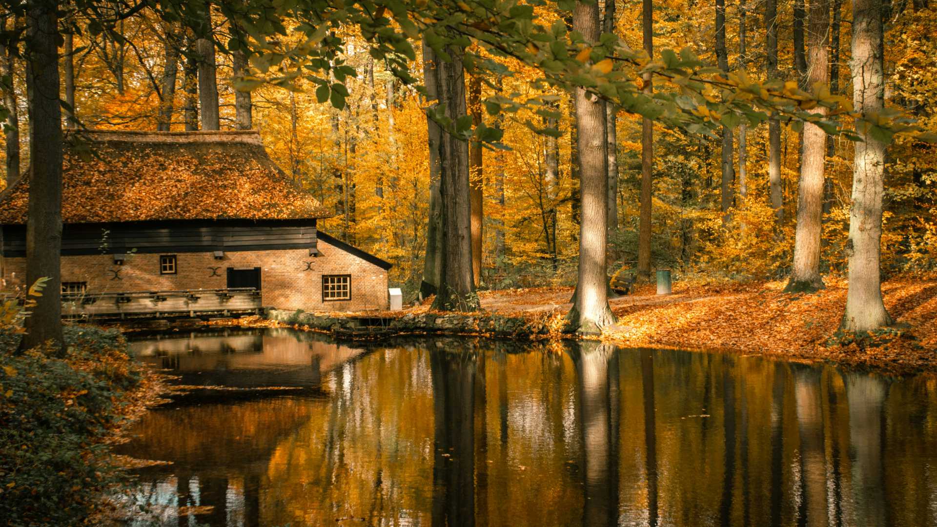 Een rustige herfstweergave in het Nederlands Openluchtmuseum, met een historisch huis weerspiegeld in een kalme vijver.