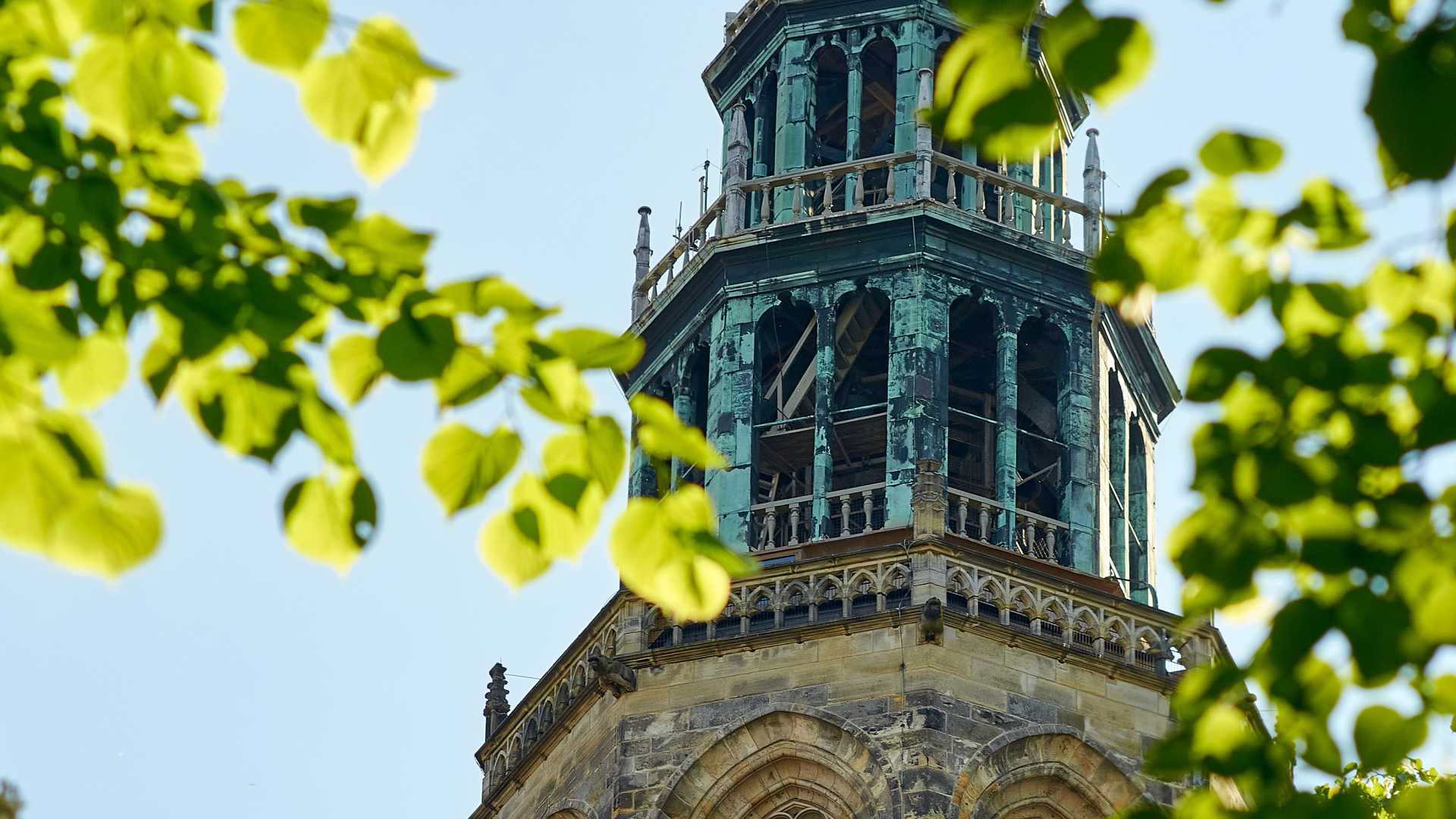 The Martinitoren tower framed by lush green leaves against a clear blue sky in Groningen.