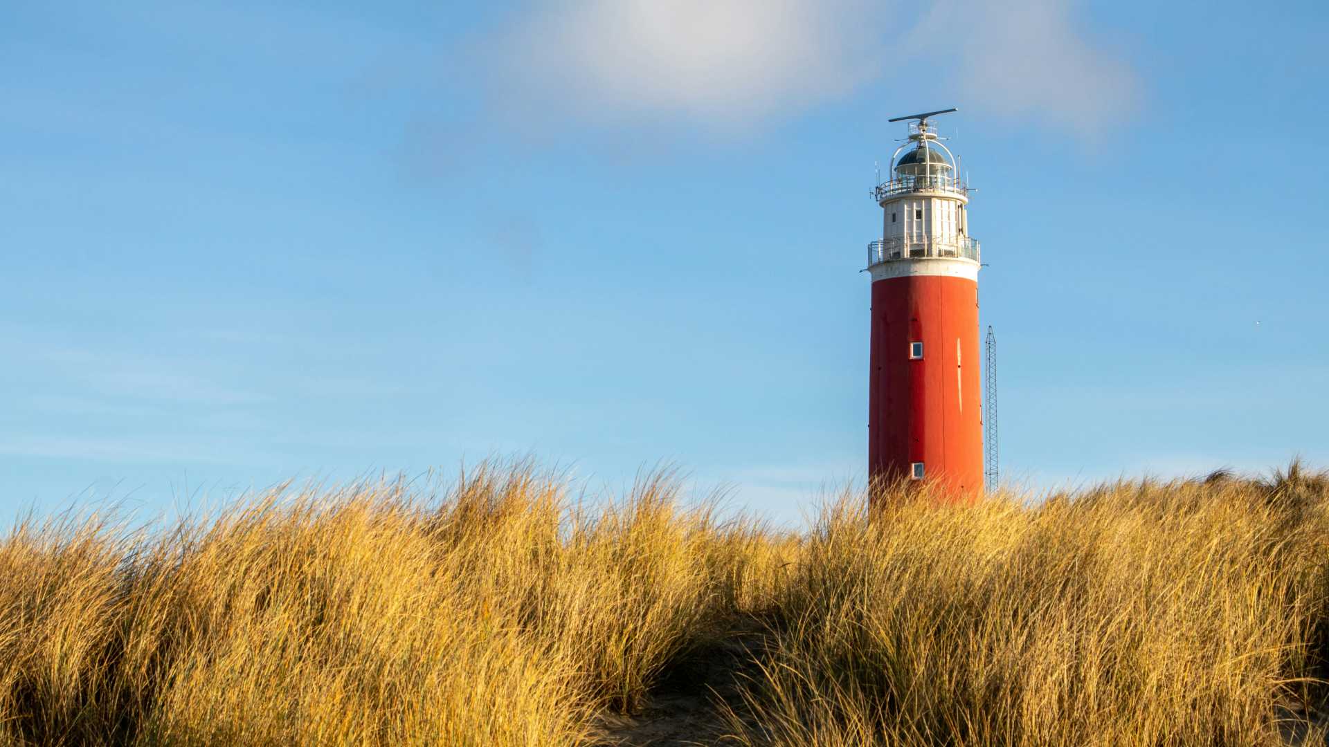 Red Eierland Lighthouse standing tall behind golden dunes under a clear blue sky on Texel Island, Netherlands.