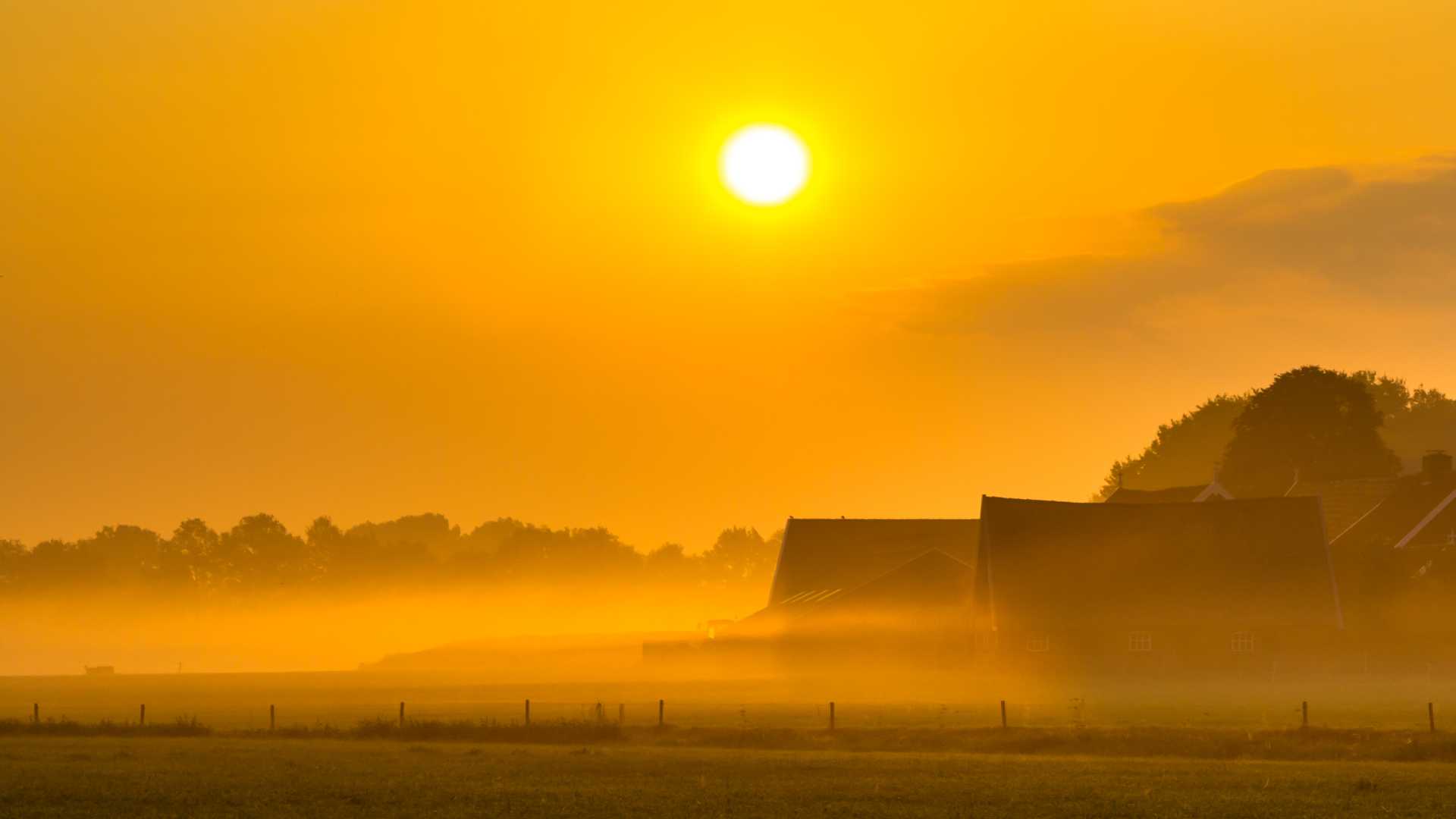 Gouden zonsopgang boven mistige landbouwvelden met schuren in Twente, Nederland.