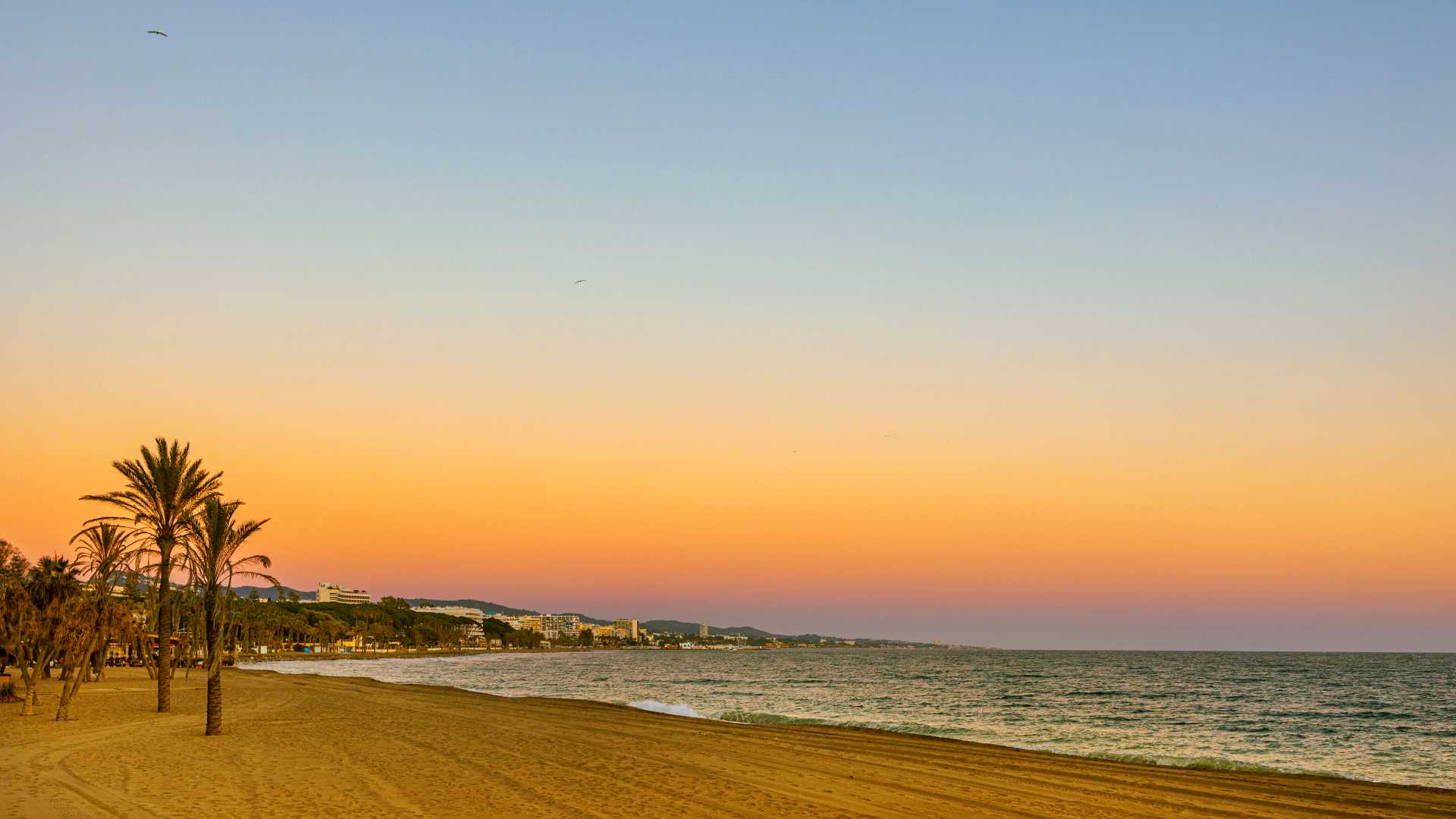 Een prachtige zonsondergang boven het strand van Marbella, Spanje, die warm licht werpt op het zand en de palmbomen.