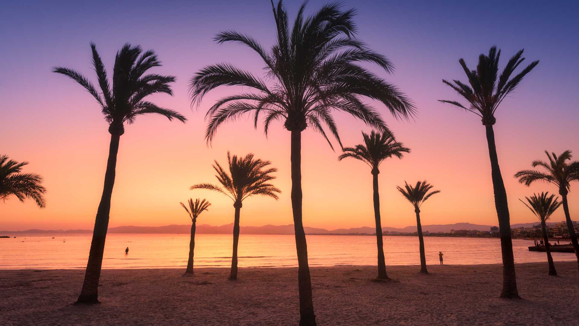 Silhouetted palm trees on a beach in Mallorca at sunset with a colorful sky.