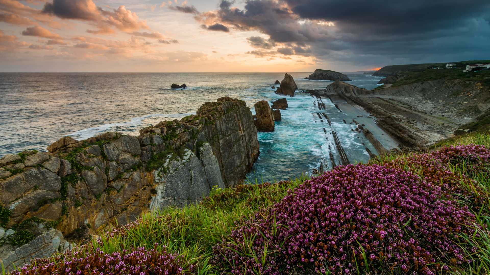 Zonsopgang boven de ruige kustlijn van Playa de la Arnia in Cantabrië, benadrukt door levendige paarse bloemen.