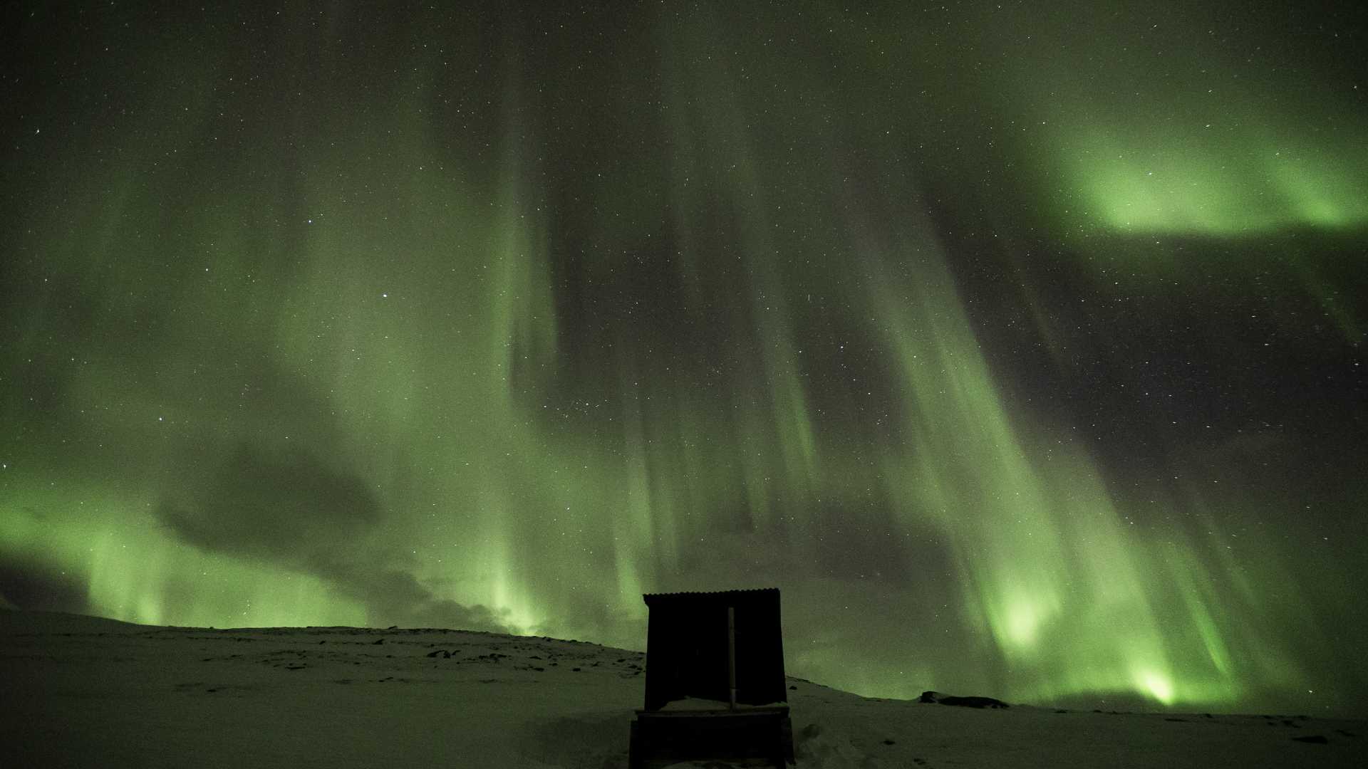 Noorderlicht verlicht de nachtelijke hemel boven een besneeuwd landschap in Abisko, Zweden, met een rustieke hut op de voorgrond.